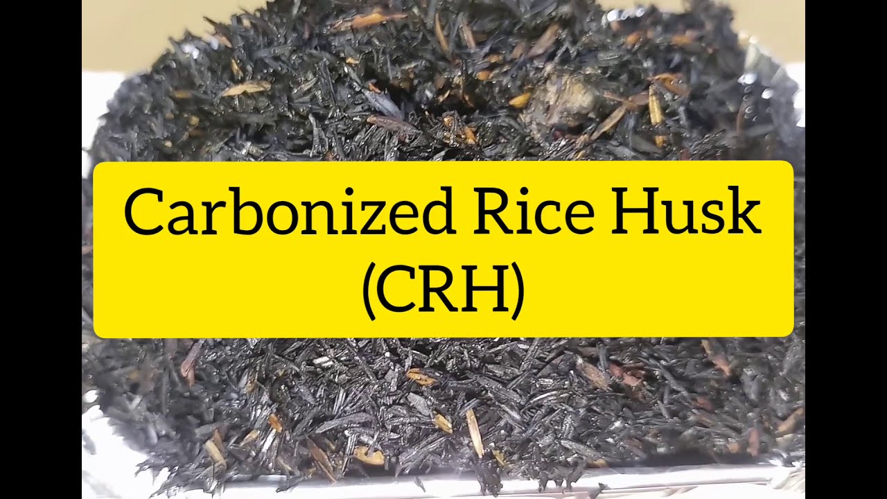 Rice Husk usages in Gardening - Excellent Benefits to plants