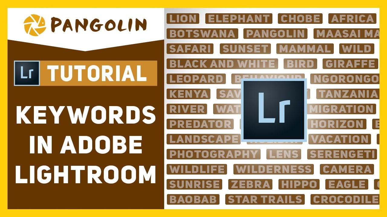 Ключевые слова в Lightroom. Джанин объясняет свой процесс
