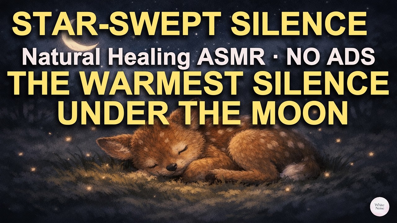 [White Noise] Star-Swept Silence The Warmest Silence Under the Moon ASMR No Ads