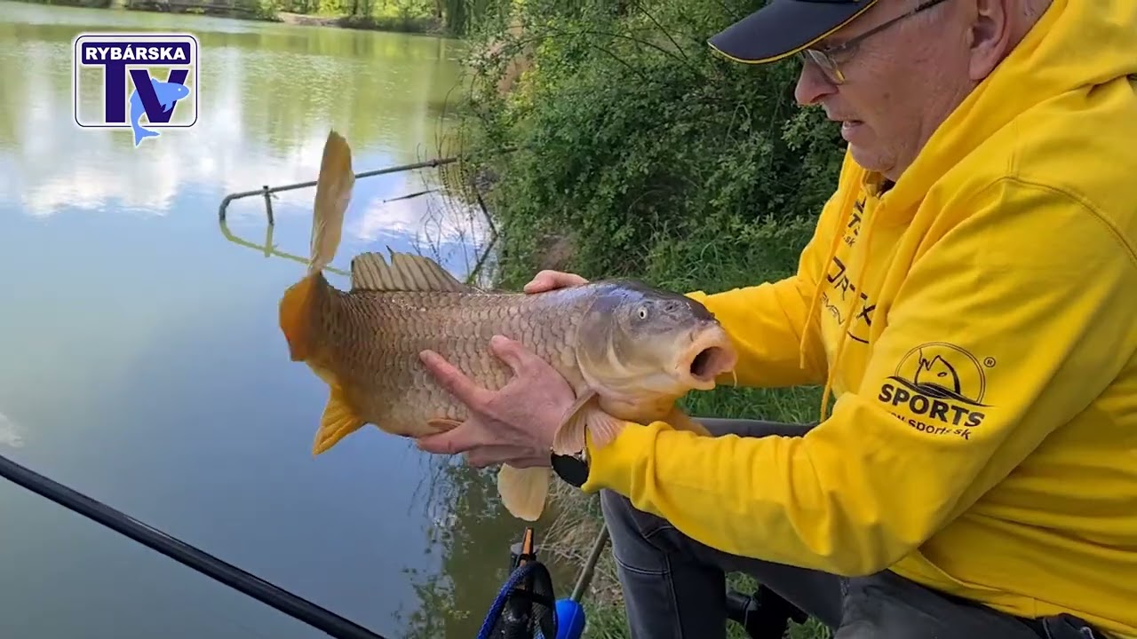 👉Nová séria videí: Jardo Haššo: Lov kapra na plavák 5. časť - záver