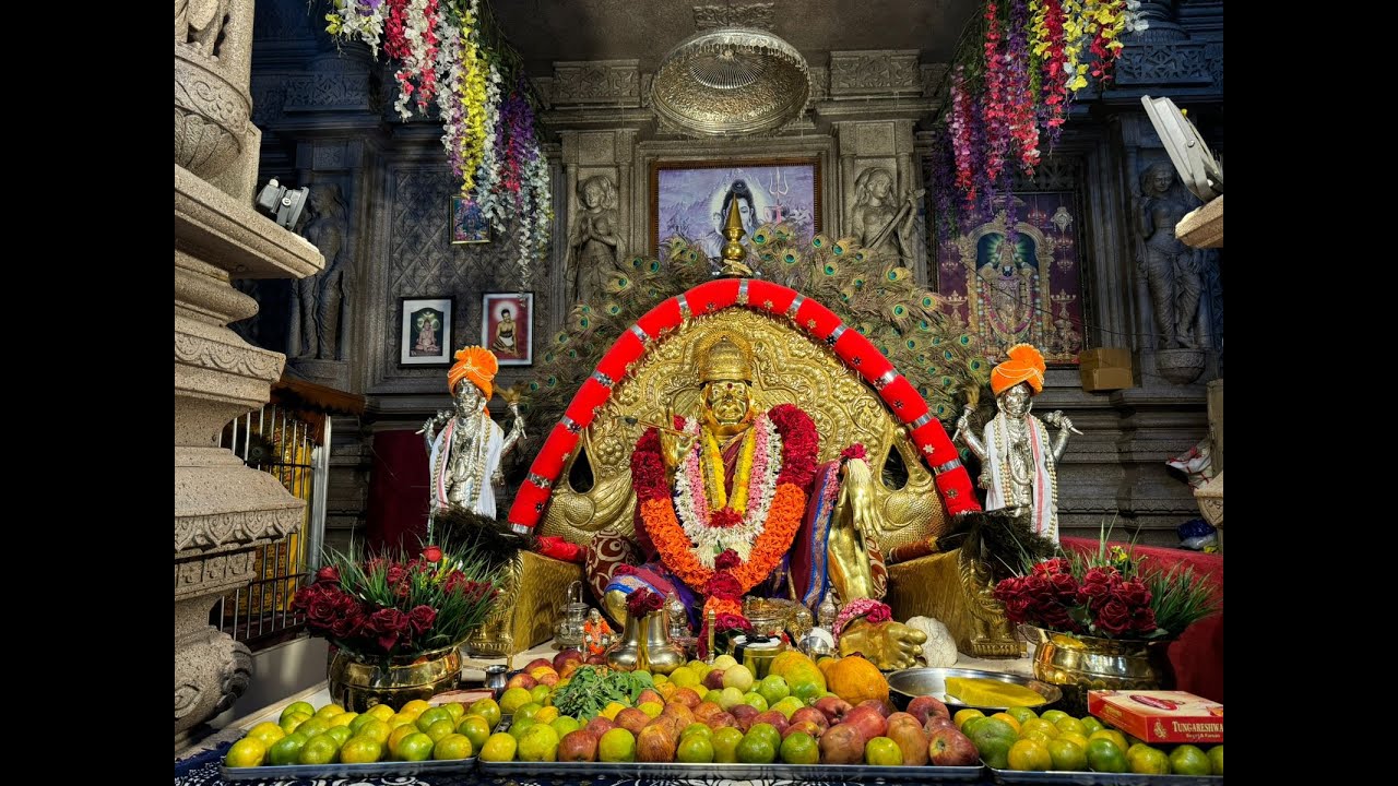 61st SUVARNA PADUKA MAHOTSAVA AT Shree Sadguru Nityanand Ashram 2 RATH YATRA