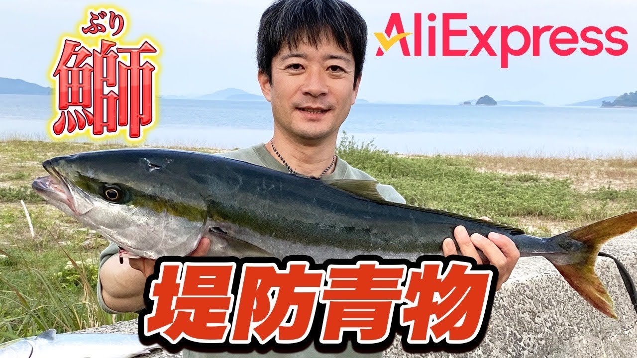 【アリエク】堤防でブリが釣れた！東扇島西公園やうみかぜ公園の泳がせ釣りでも絶対に活躍するリール