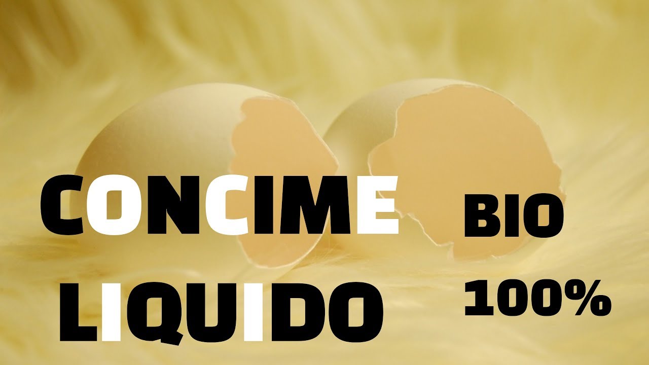 Concime bio per le nostre piante con i gusci d'uovo