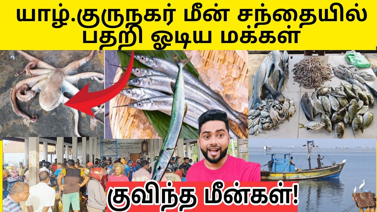 மக்கள் குவியும் இடம் இது தான்!!!