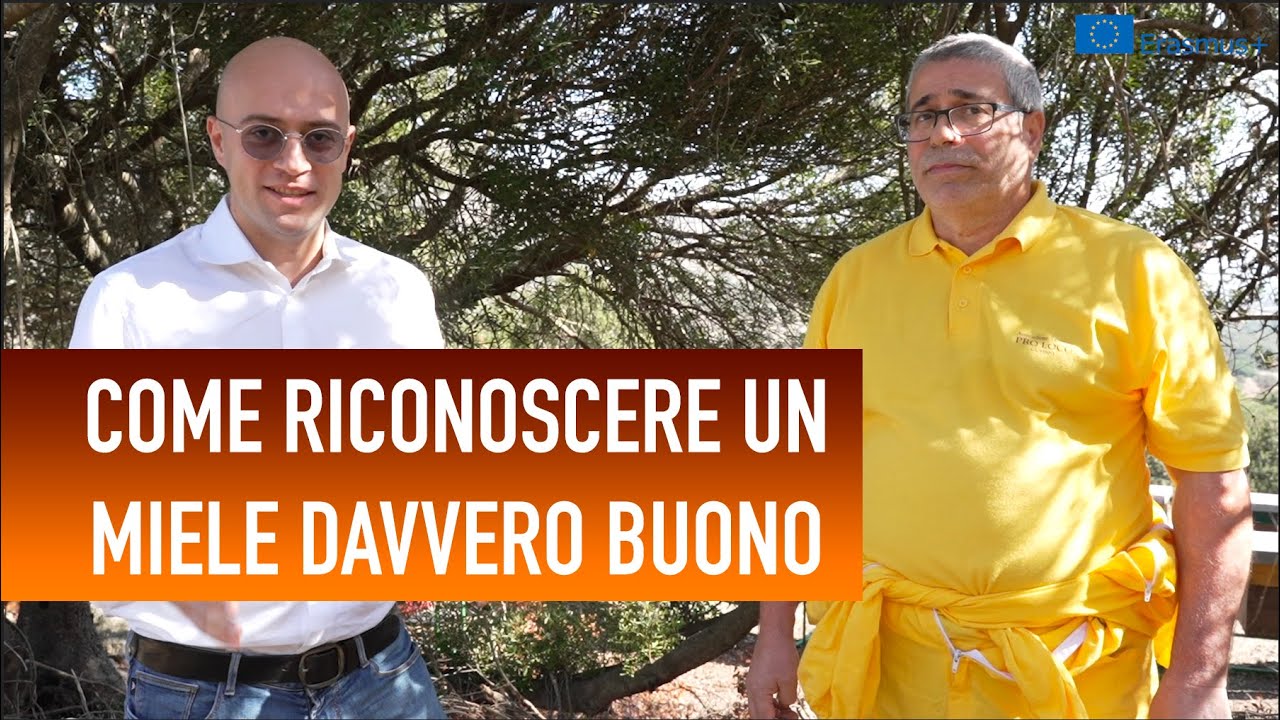Come riconoscere un miele davvero buono