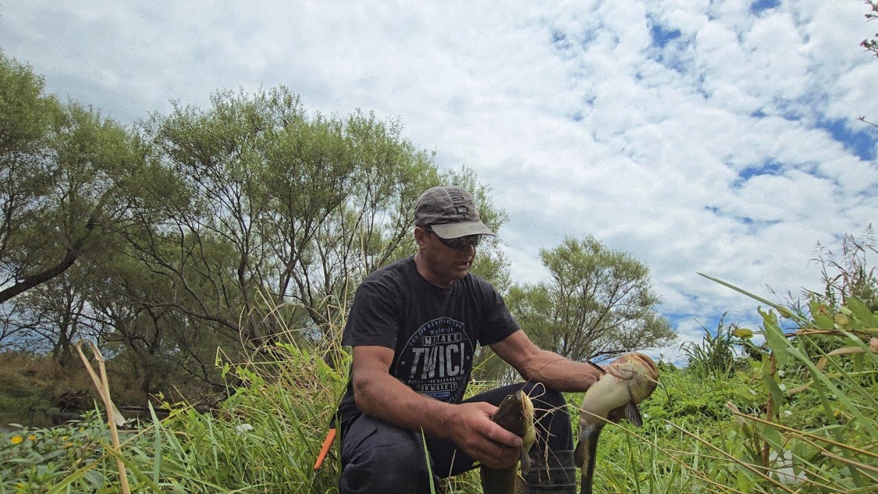 En busca de Bagres...me llevé varias sorpresas #Pesca en arroyo de Los Huesos 