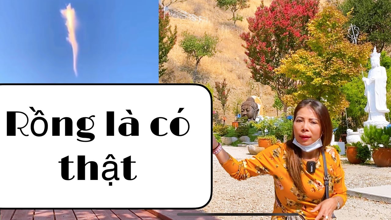 Tình hình hiện nay : RỒNG XUẤT HIỆN TRÊN NÚI THIÊN LONG SON của doanh nhân Ngô Tuấn Kiệt ( tập 2)
