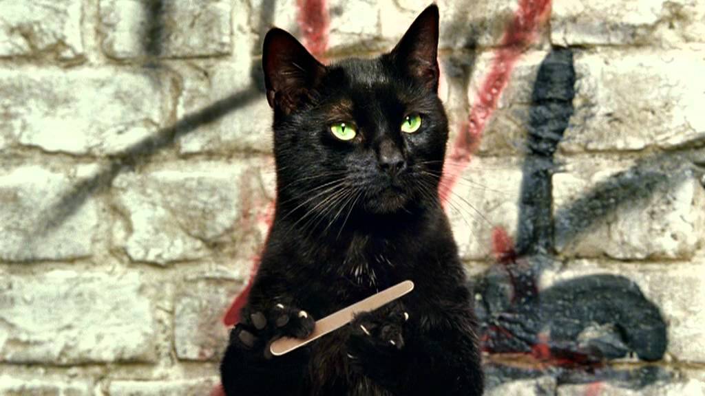 Cravendale, Cats with Thumbs