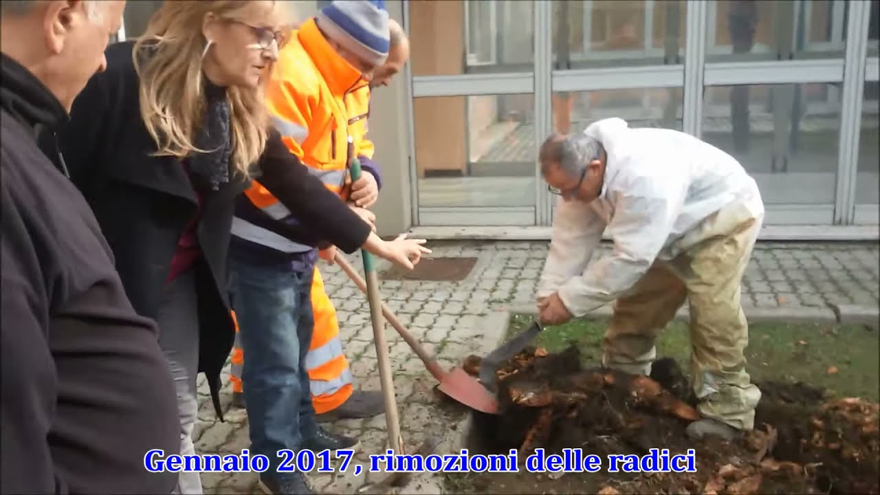 1300 giorni: IS F. Morano di Caivano NA