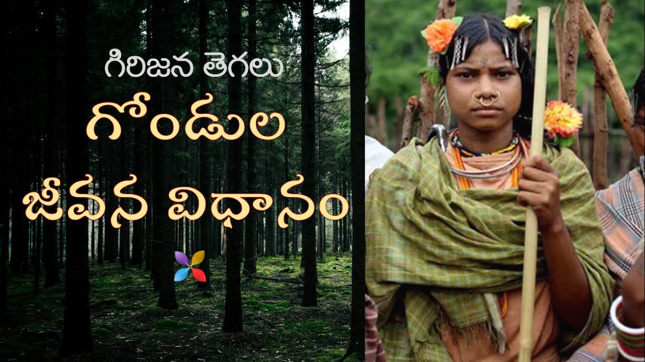 GOND TRIBE || GONDULU || గోండులు || గిరిజన తెగలు || గోండుల జీవన విధానం | TRIBES OF INDIA | TELANGANA