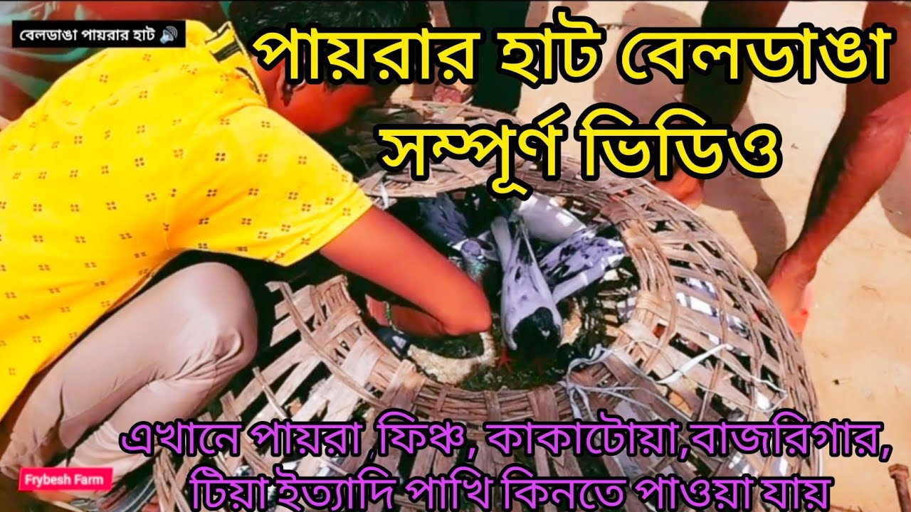 পশ্চিমবঙ্গের মুর্শিদাবাদ বেলডাঙ্গা পায়রার হাট সম্পূর্ণ ভিডিওদেখুন|Beldanga Pigeon Hut Full Videos