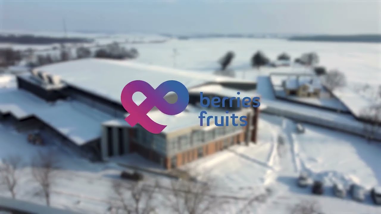 berries & fruits: Premium IQF Freezing Facility in Ukraine | Factory Tour