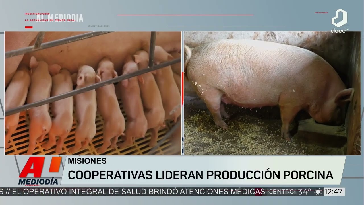 #AlMediodía