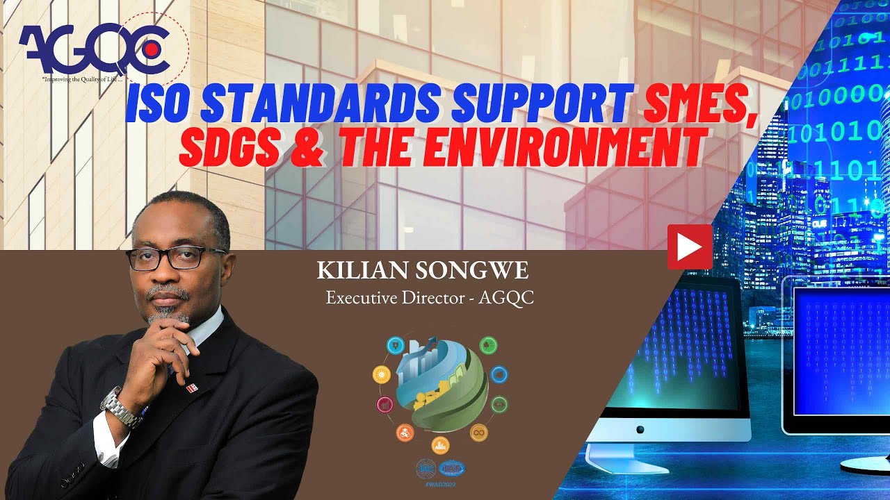ISO Standards Support SMEs, SDGs and the Environment