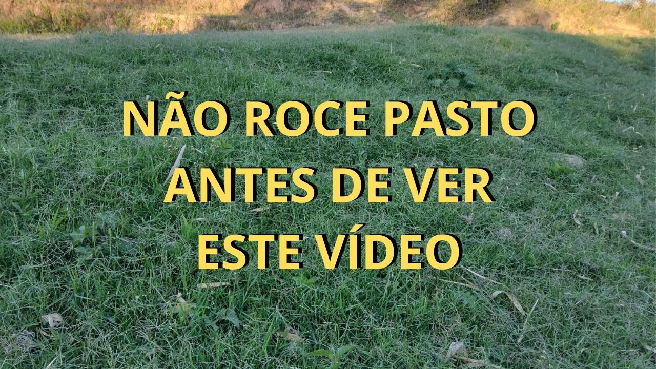 Melhor &eacute;poca pra ro&ccedil;ar pasto