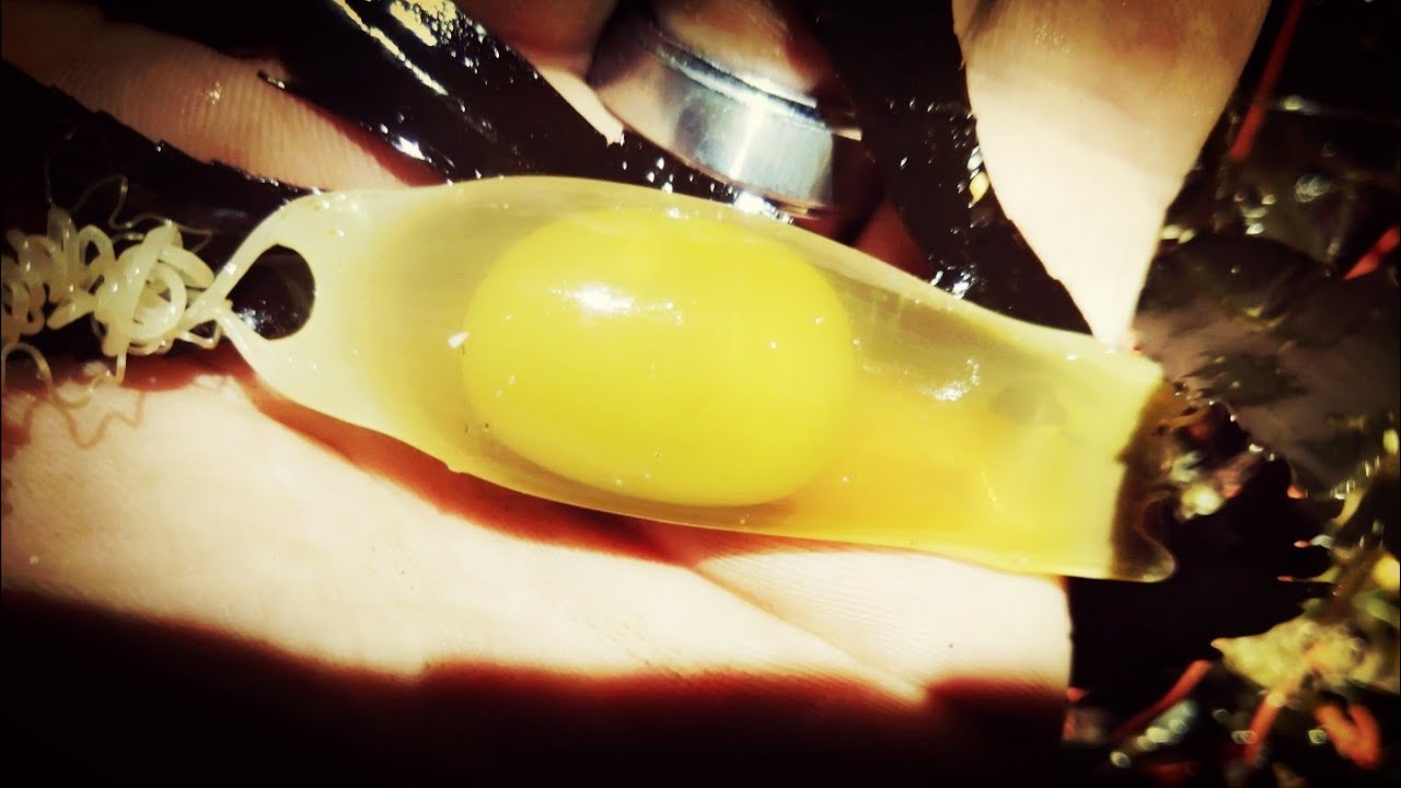 NIGHT FISHING AT LANGNEY POINT EASTBOURNE - LOOKING FOR SOME EARLY MACKEREL (SEA FISHING UK)