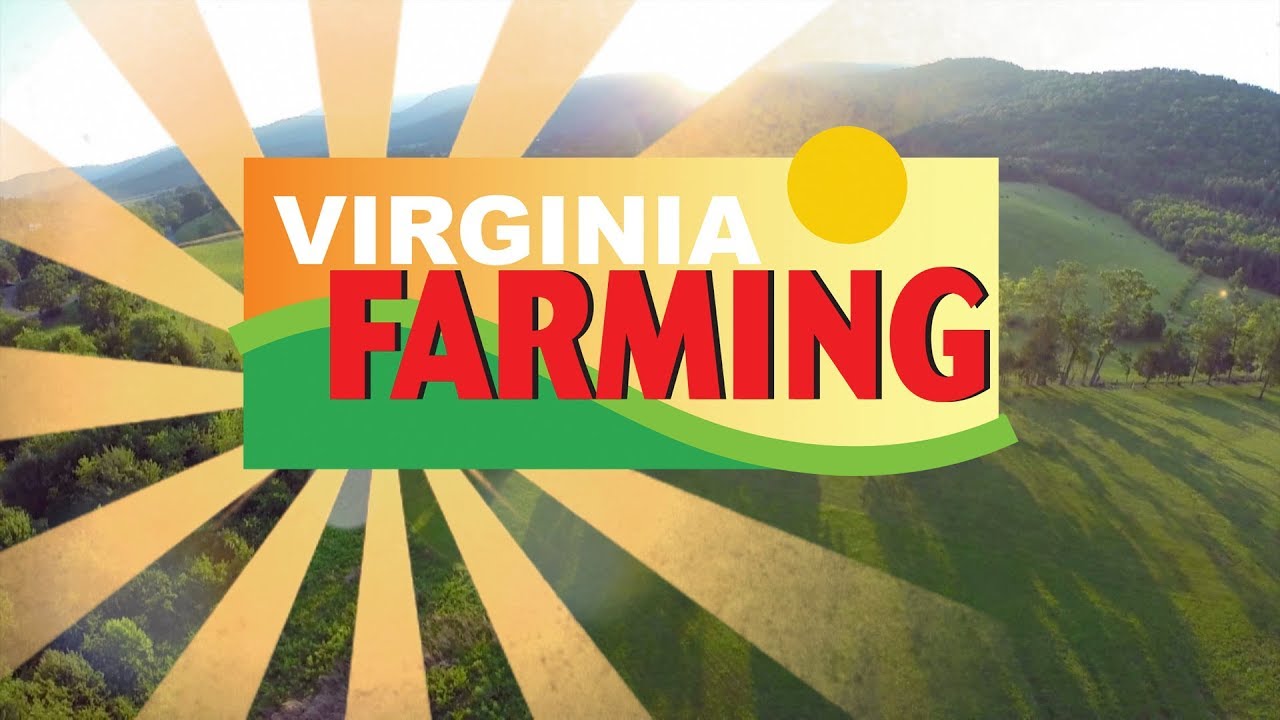 Virginia Farming: Robotic Dairy