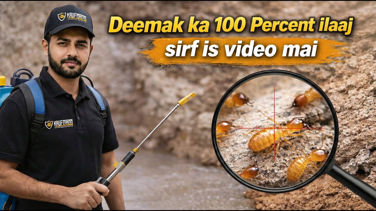 Termite Control Process Step by Step Deemak Control & Termite Proofing Services Kaufmann Enterprises