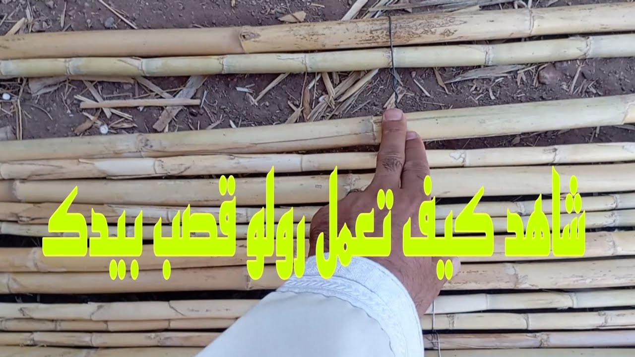 شاهد كيف تعمل رولو قصب بيدك