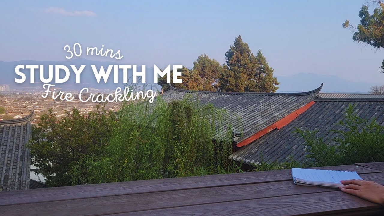 30MIN STUDY WITH ME🔥 Fire Crackling +💪 Birds  no music  / Business owner & Naturopathy student