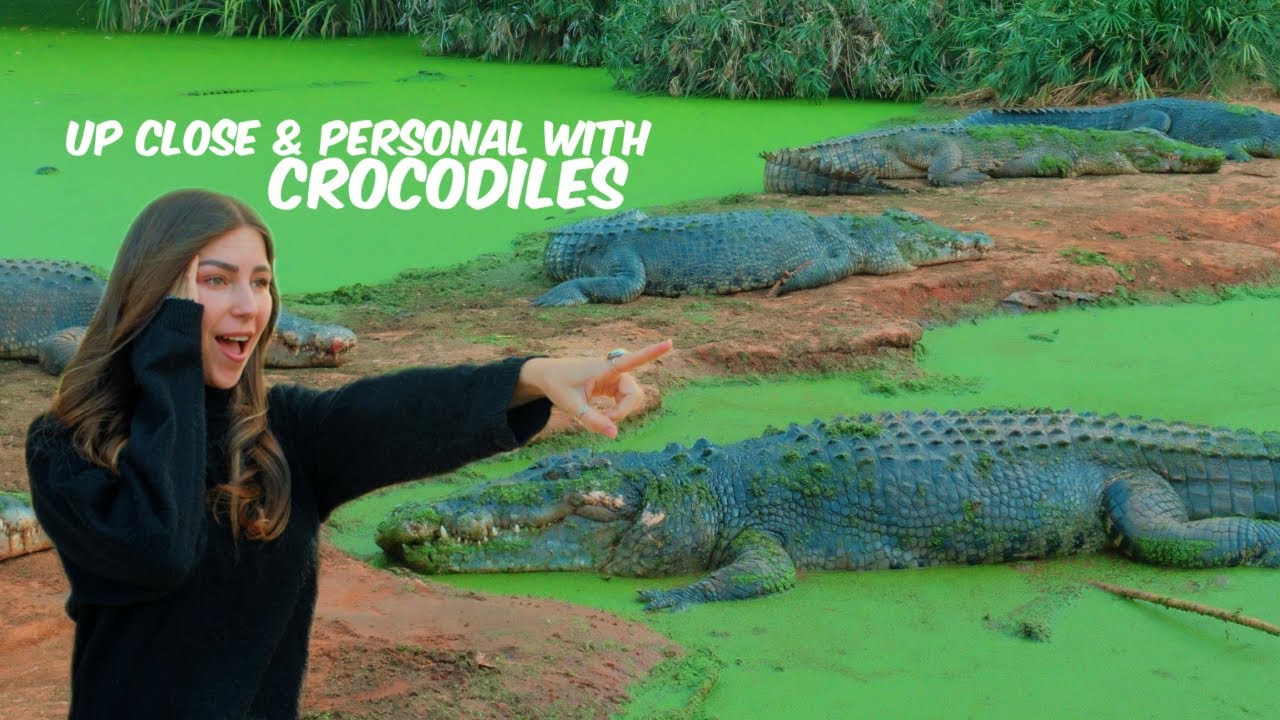 Up close & personal with Malcolm Douglas CROCODILES! Broome speedway, working on the road & more