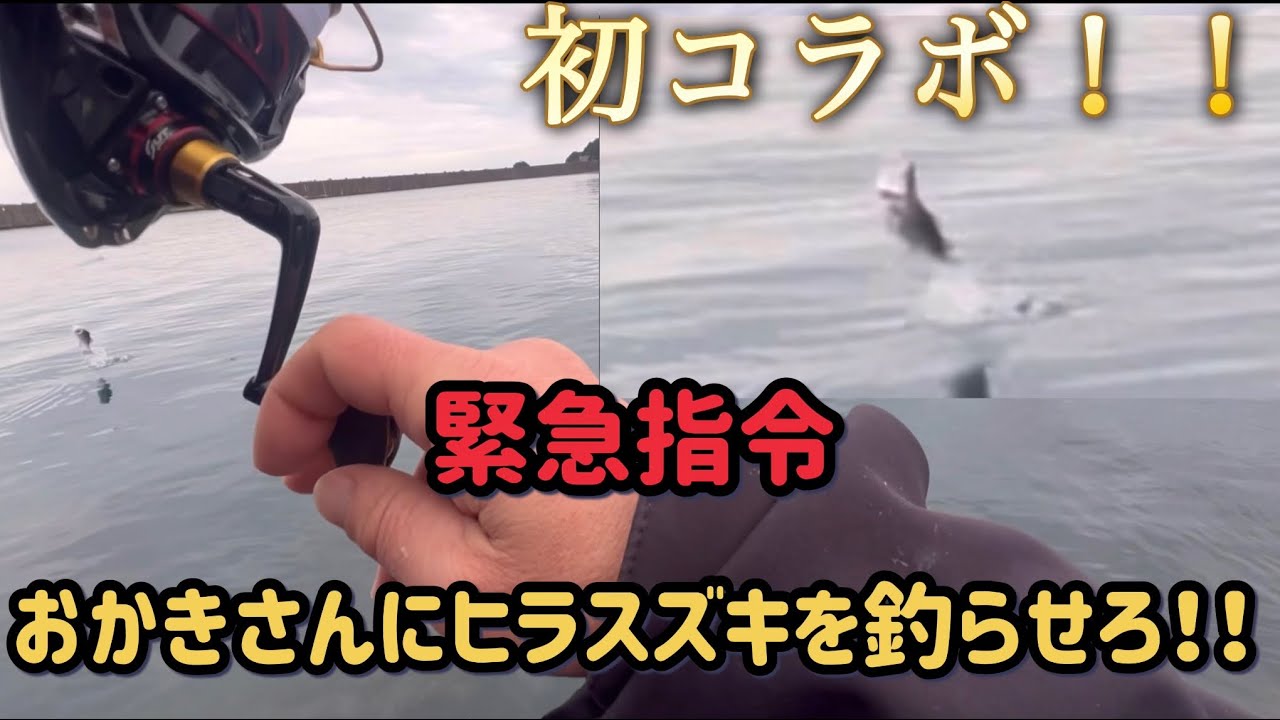 【エビ撒き釣り】おかきさんは念願のヒラスズキを釣る事が出来たのか？