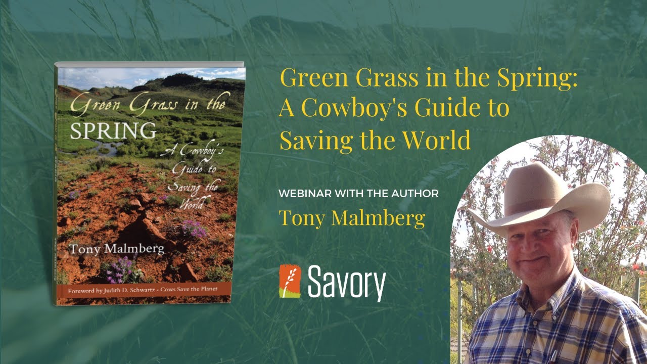 Green Grass in the Spring: A Cowboy's Guide to Saving the World