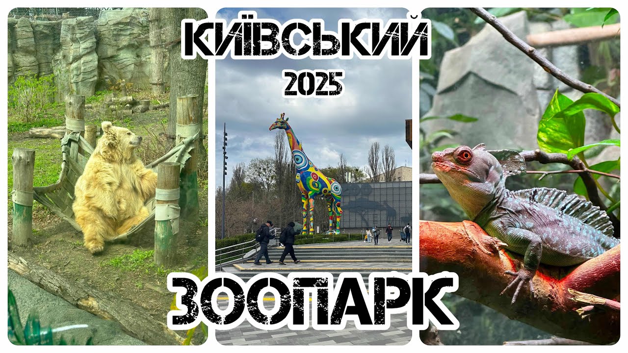 КИЇВСЬКИЙ ЗООПАРК 2025 рік🐒🦥🦍🦅