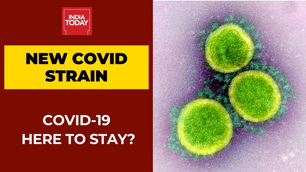 Mutation Of Coronavirus: Are We Moving From Pandemic To Endemic Phase?