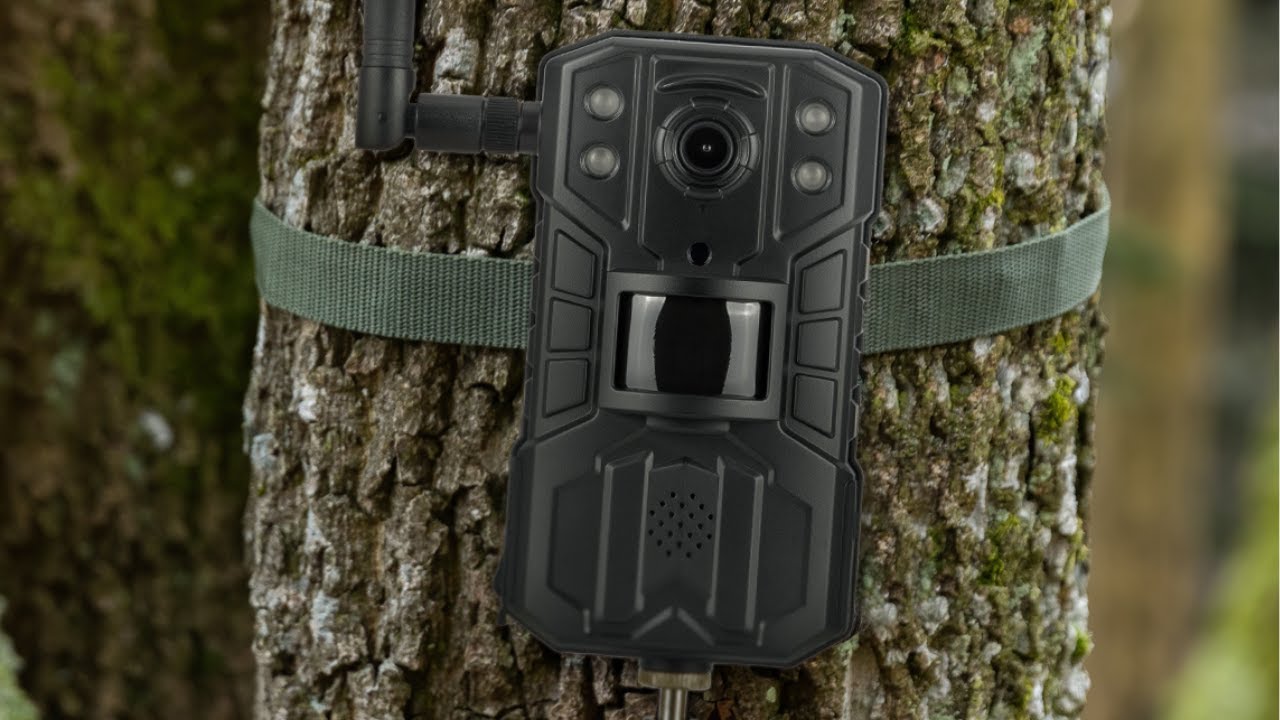 Kamera obserwacyjna Redleaf RD6300 LTE z funkcją fotopułapki