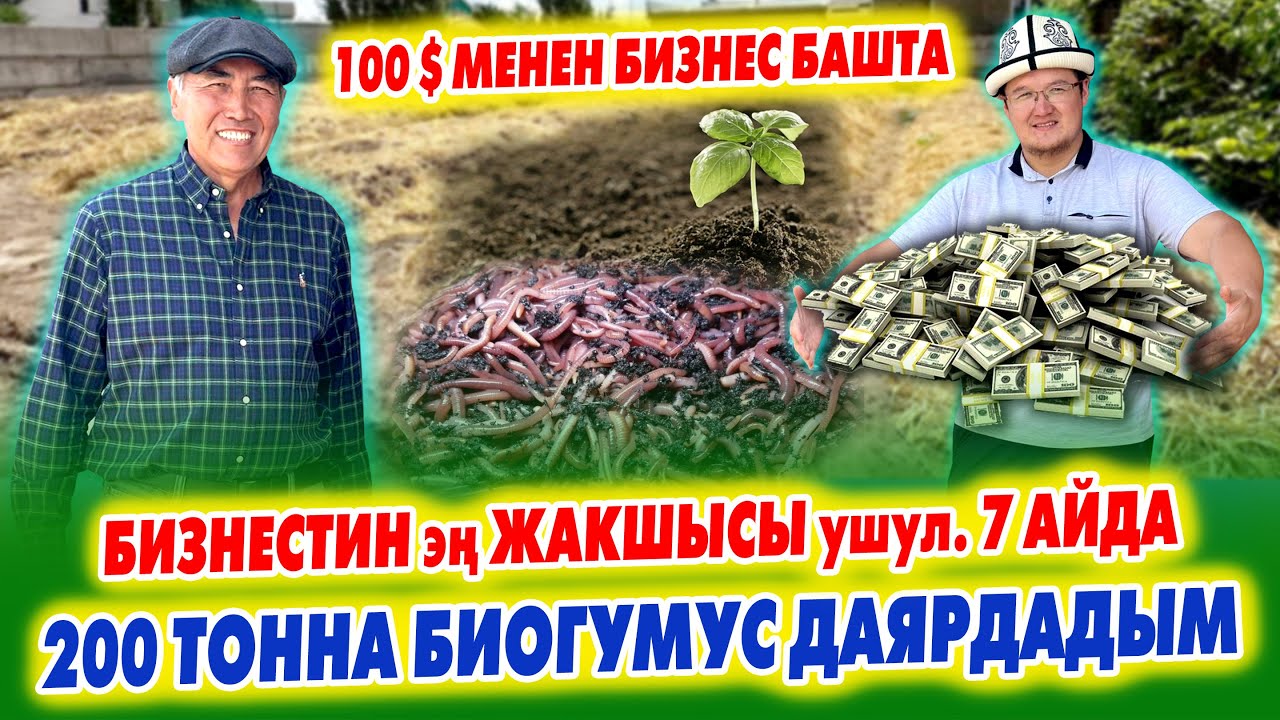 БИЗНЕСТИН эӊ жакшысы УШУЛ экен ~ БИОГУМУСТУН бүт СЕКРЕТИ ачылды ~ БИЗНЕС башта