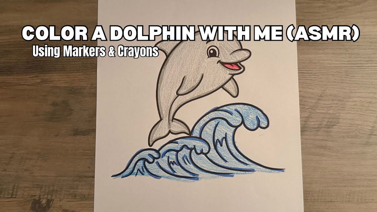 The HAPPIEST Dolphin Ever 