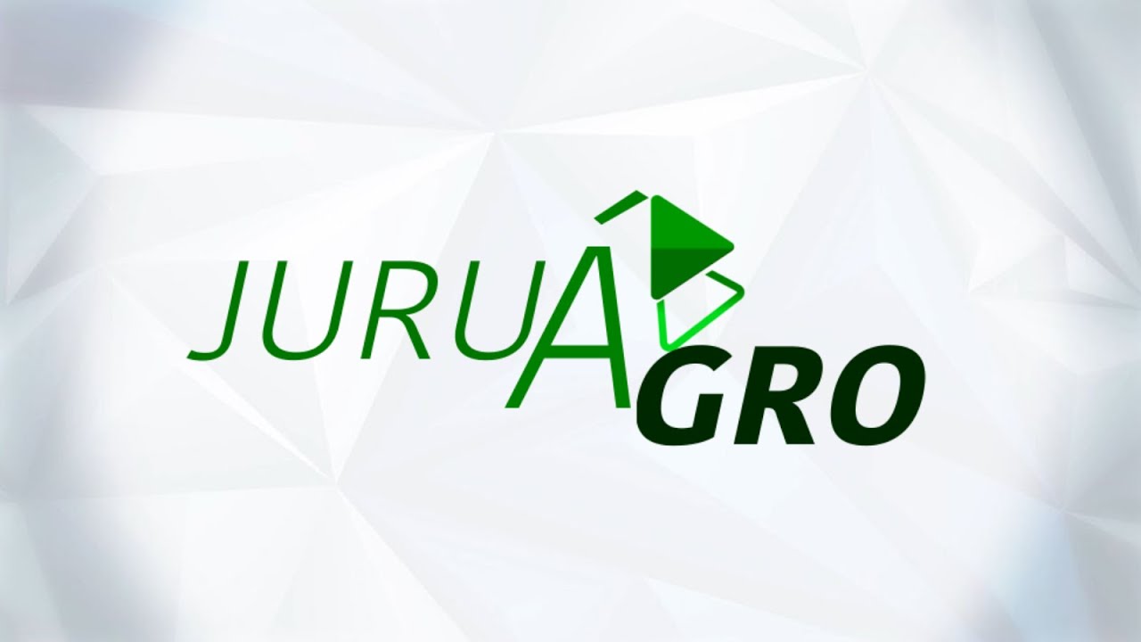 JURUÁ AGRO - AO VIVO 01/02/2026