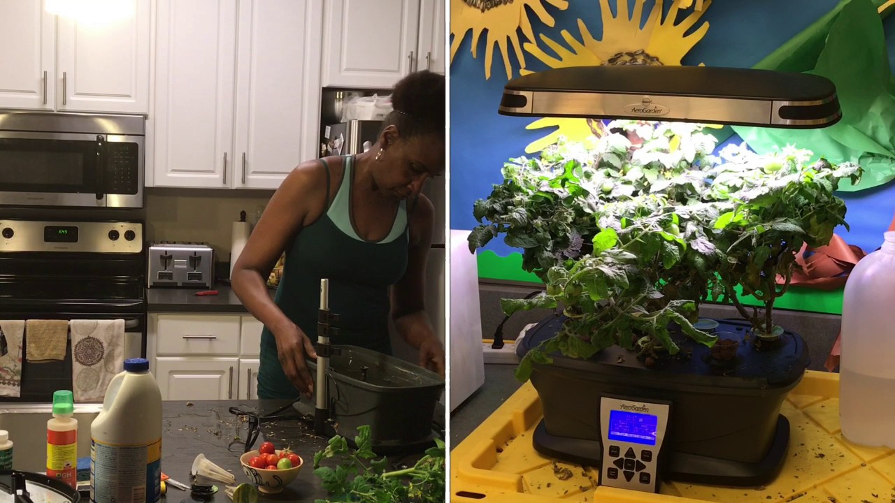 How to Clean an Aerogarden Ultra LED for Planting - Aerogarden Tomatoes Review