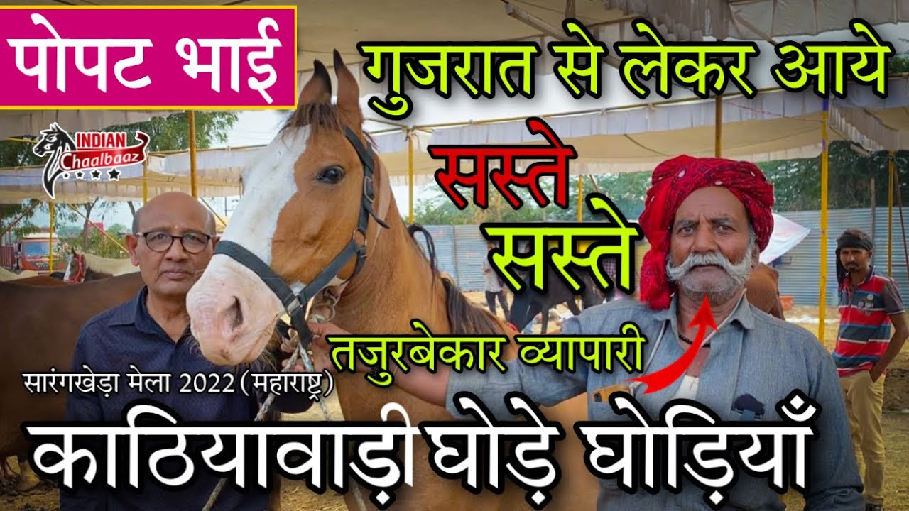 पोपट भाई मेले लेकर पहुँचे सस्ते सस्ते काठियावाड़ी घोड़े घोड़ियाँ 9978002562 Sarangkheda Mela 2022