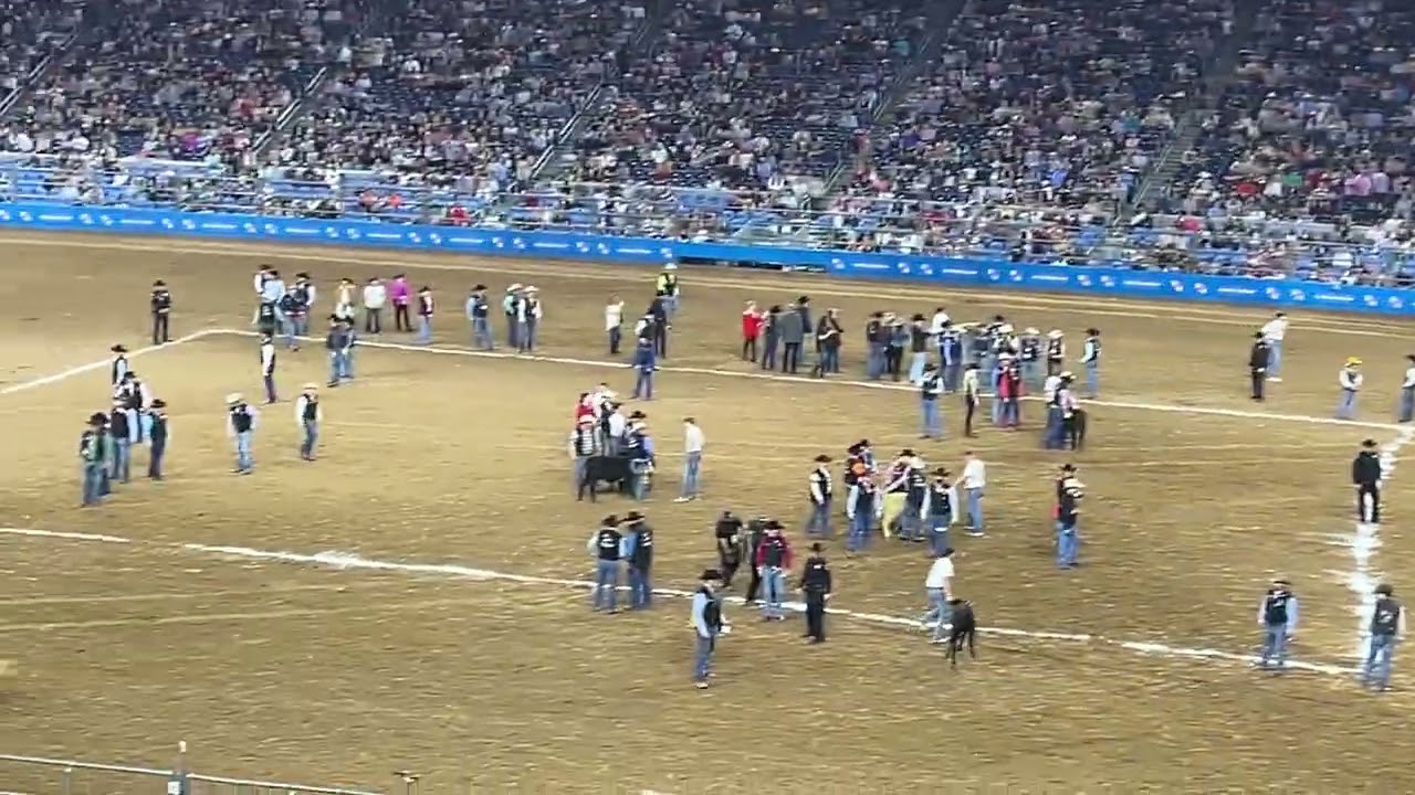 Houston Rodeo 2022 Day 2 - Calf Scramble