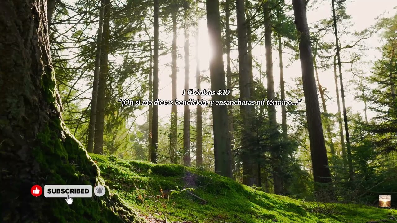 MOMENTO CON DIOS - Instrumental de adoración relajante para la oración, la devoción,amor y paz