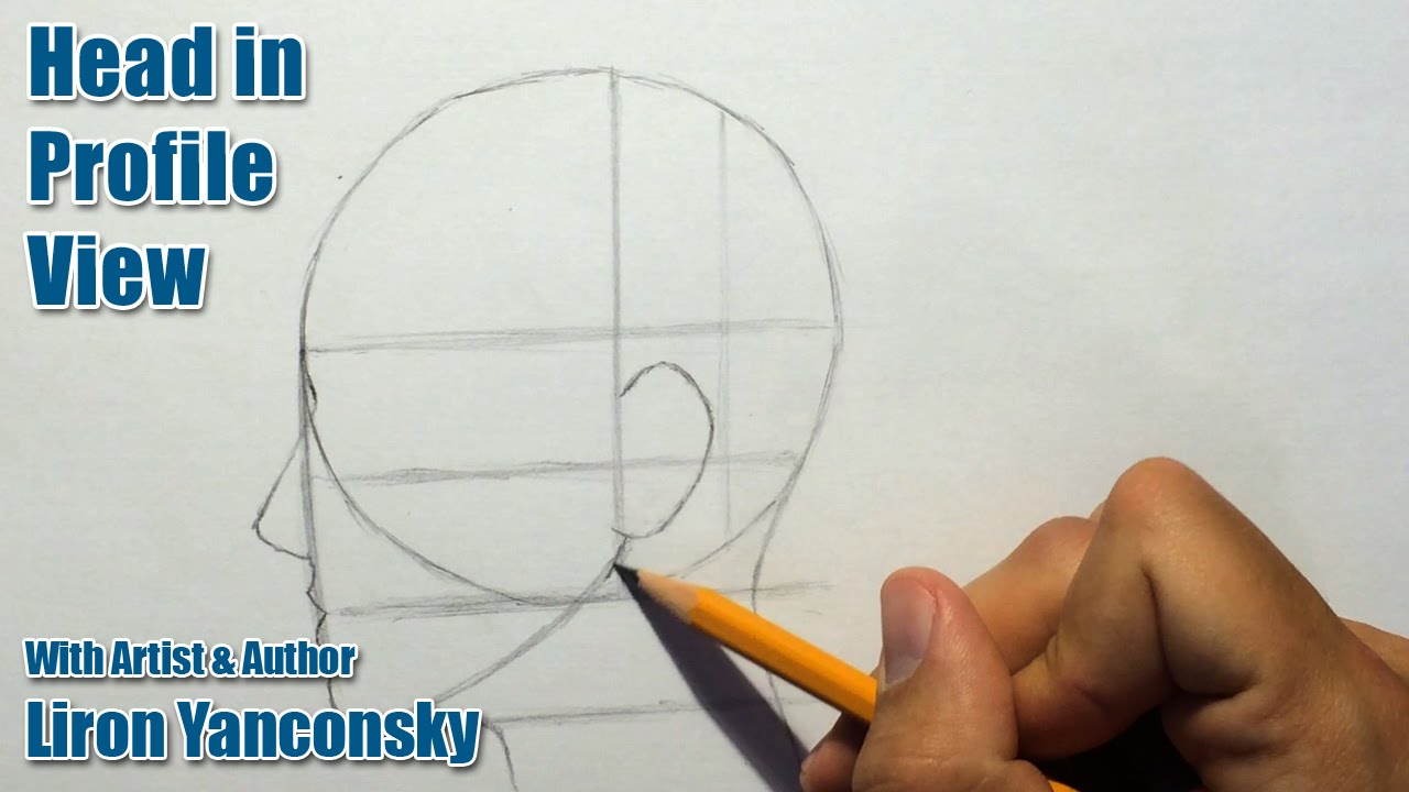 How to Draw a Head in Profile View (Female)