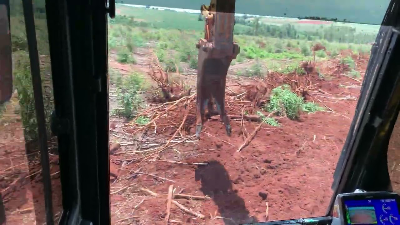 DESTOCANDO TOCOS DE EUCALIPTO COM ESCAVADEIRA HIDRÁULICA PC210 KOMATSU