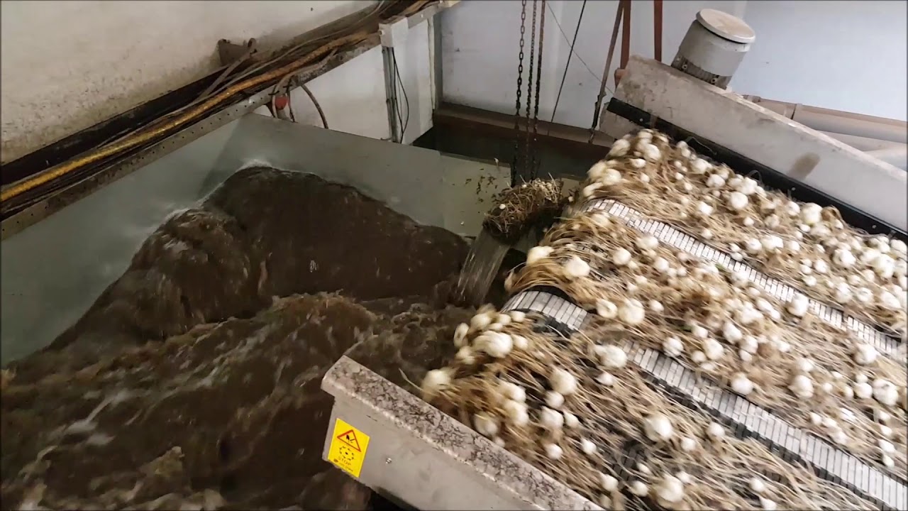 Spoelmachine SN600