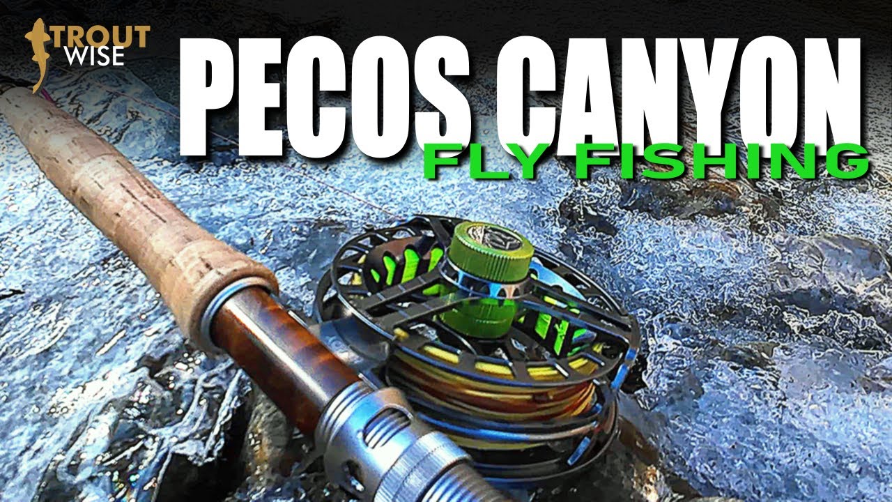 Fly Fishing Pecos Canyon New Mexico 2025