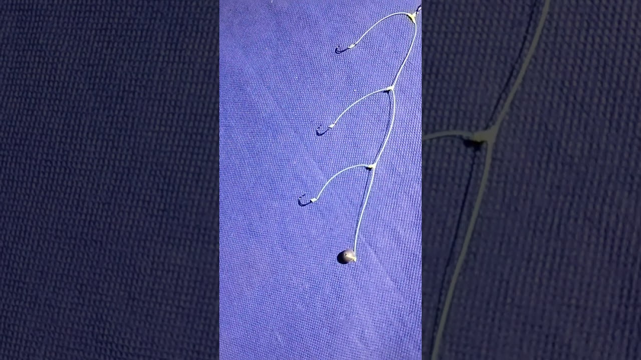 Rangkaian Pancing Nila 3 Kail Teknik Dasaran || Bottom fishing Rig