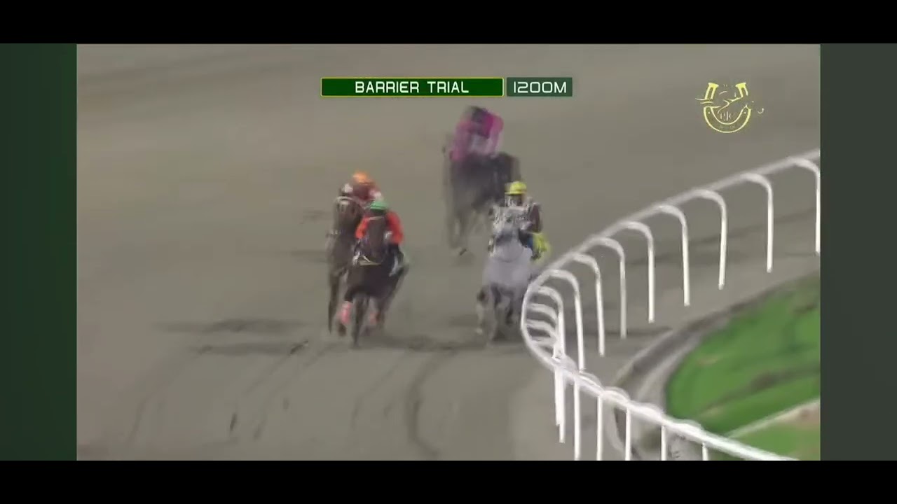 High level barrier race pjc