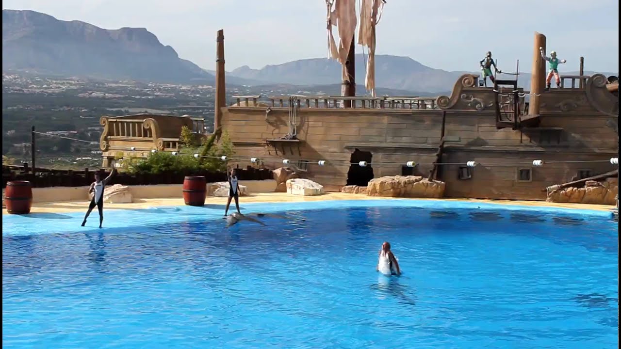 Insane dolphin stunt at Mundomar