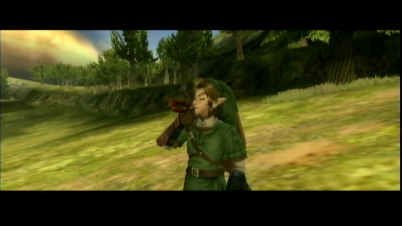 The legend of zelda twilight princess S WII #07 le calisse d Ordin