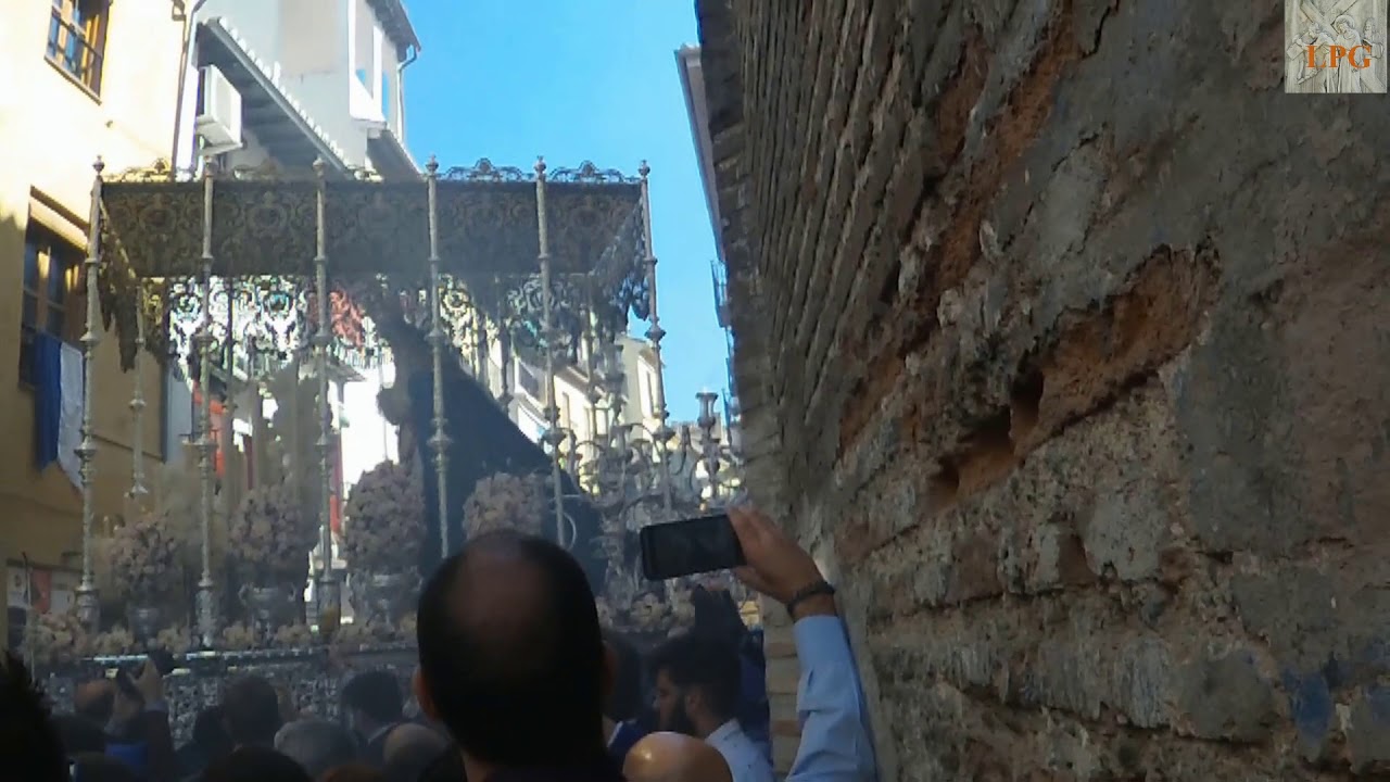 Borriquilla y Paz, Domingo de Ramos, Semana Santa de Granada 2019
