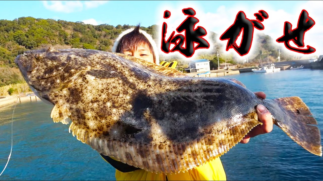 堤防からアジを泳がせたら巨大ヒラメが釣れた！
