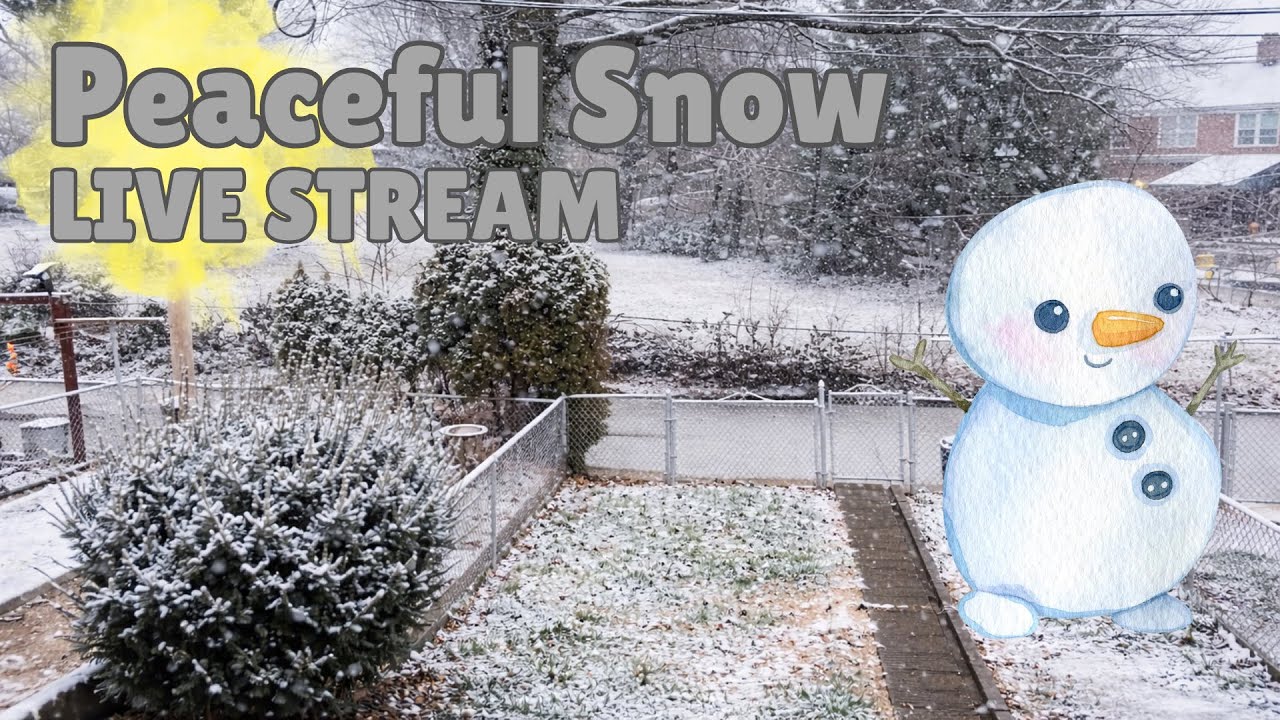 Live Relaxing Snow Sounds & Winter Atmosphere