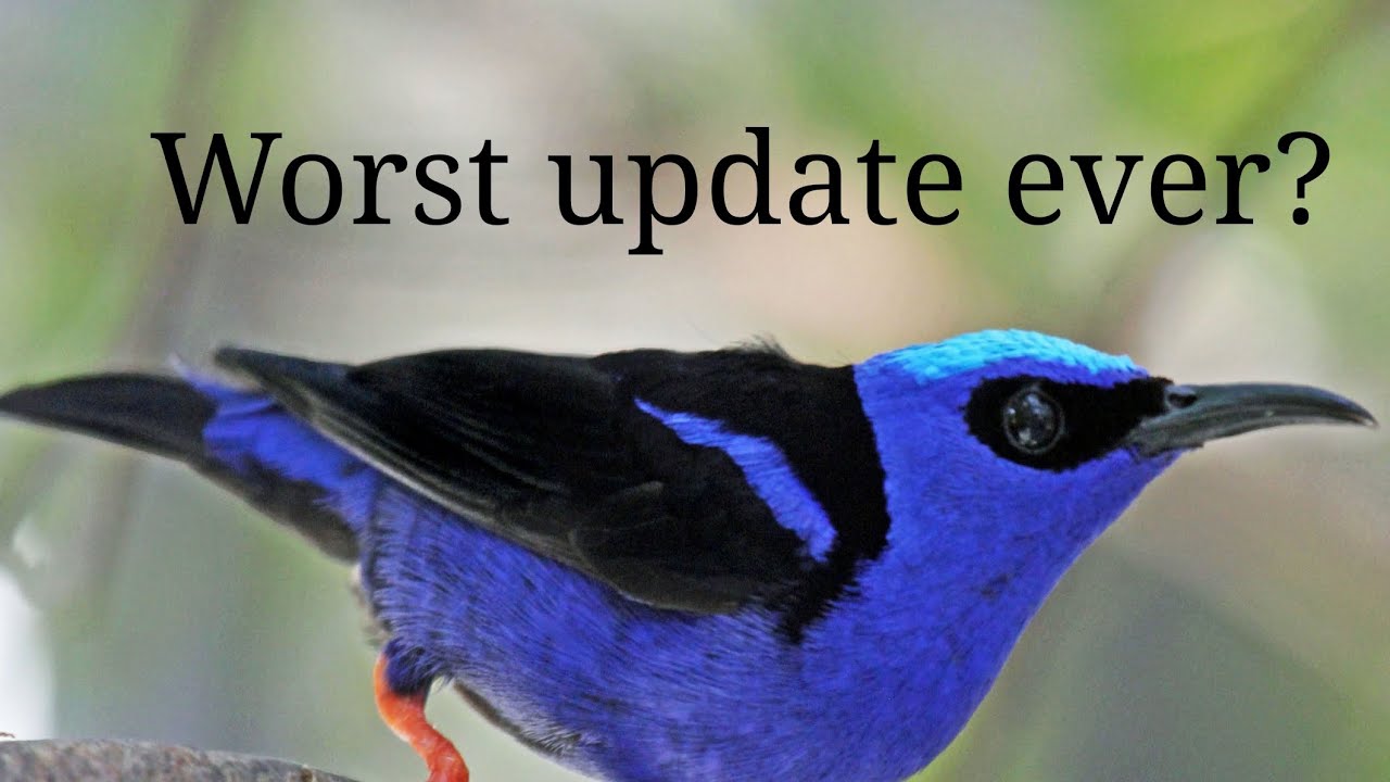 Tanager update review in Feather Family.