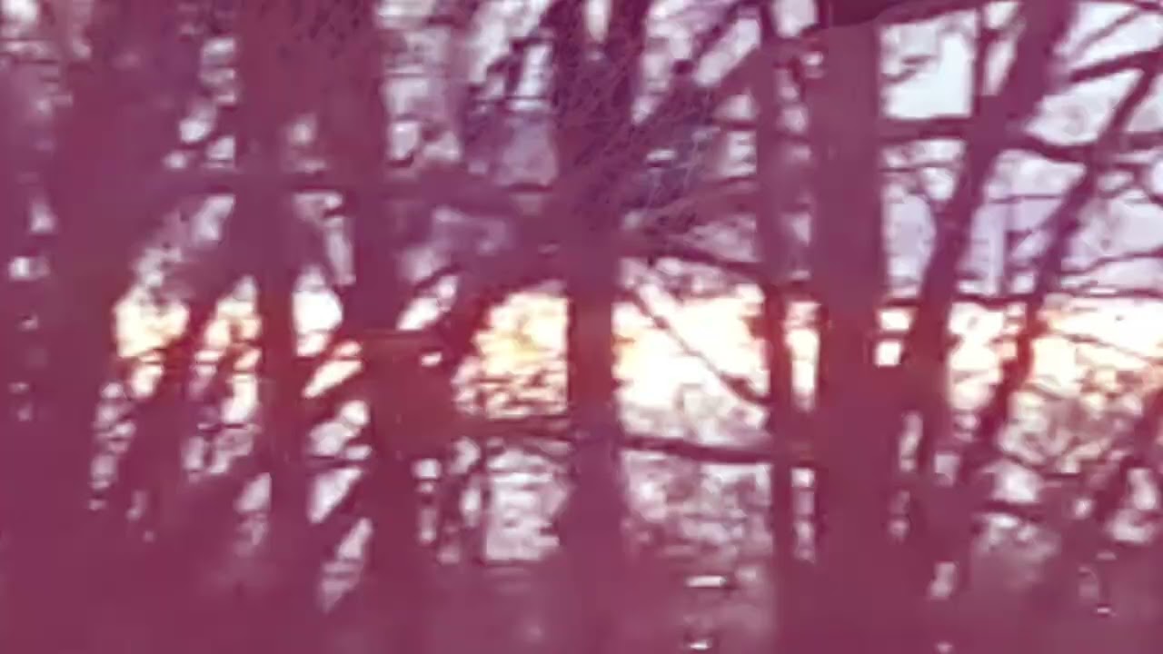 Film